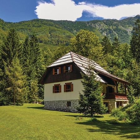 Chalet Primus Near Soca Gorge - Happy Rentals Eksteriør billede