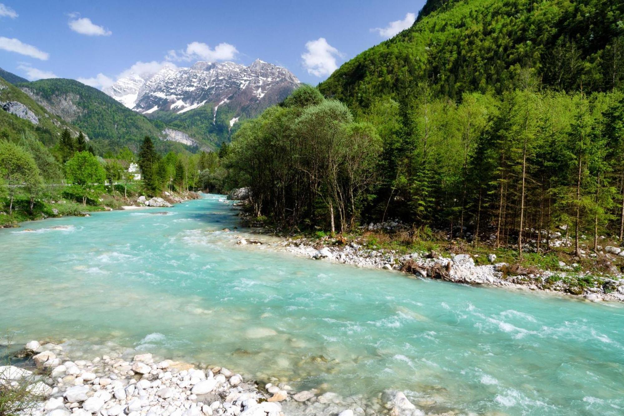 Chalet Primus Near Soca Gorge - Happy Rentals Eksteriør billede