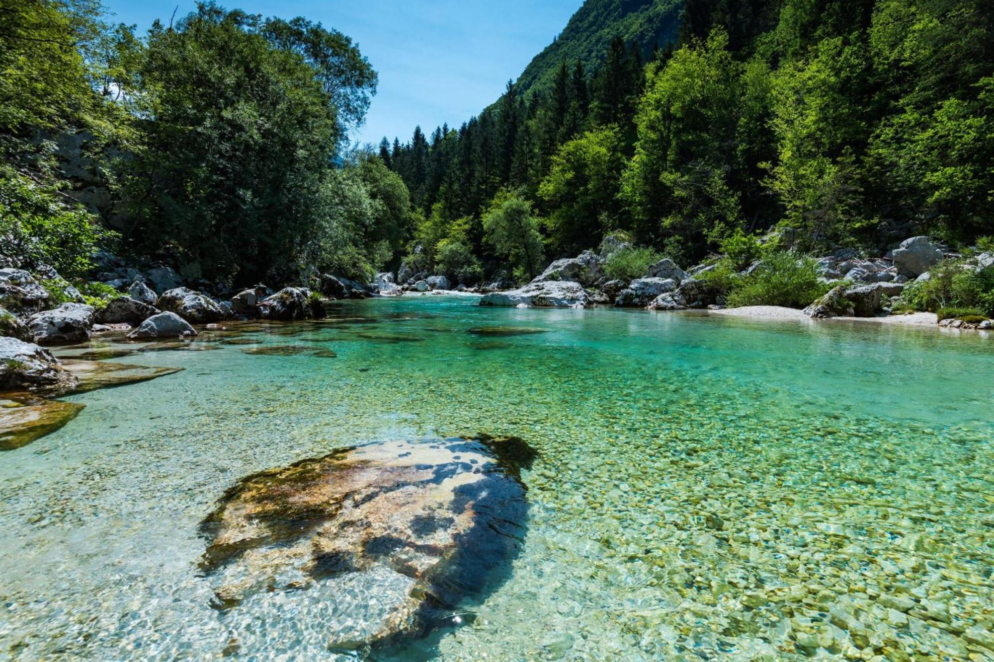 Chalet Primus Near Soca Gorge - Happy Rentals Eksteriør billede