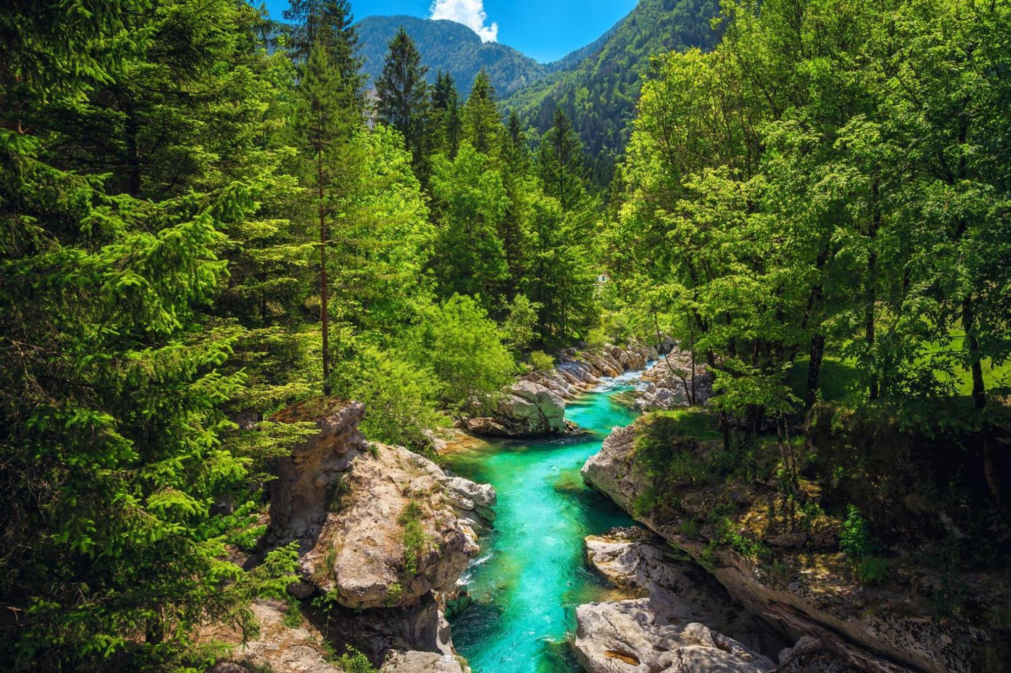 Chalet Primus Near Soca Gorge - Happy Rentals Eksteriør billede